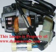 E1L1N1A1U1O1M440700-31U